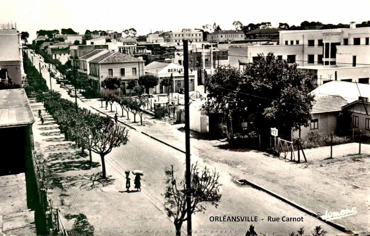 Orleansville - Rue Carnot.jpg